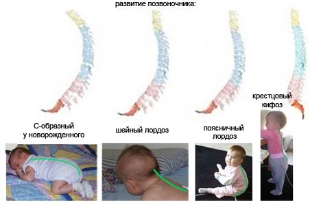 Слинг для новорожденного. Как выбрать?