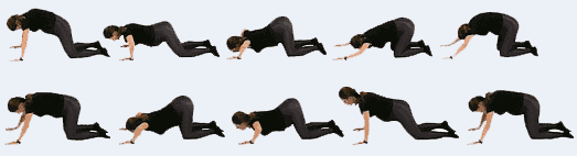 Упражнения для беременных в картинках