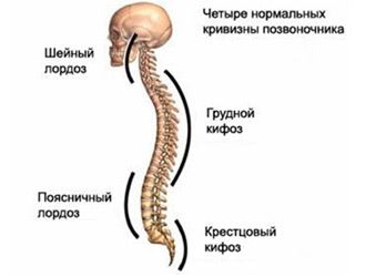 Слинг для новорожденного. Как выбрать?