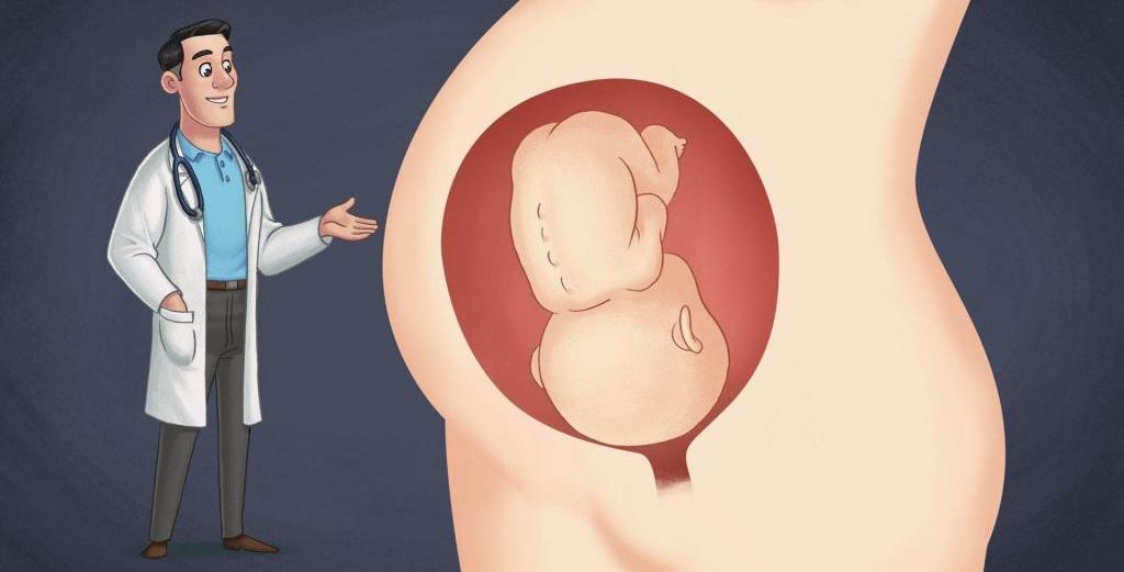Осмотр врача для определения эмбрионального срока