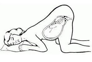 Коленно-локтевая позиция при беременности