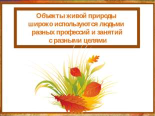 http://aida.ucoz.ru Объекты живой природы широко используются людьми разных