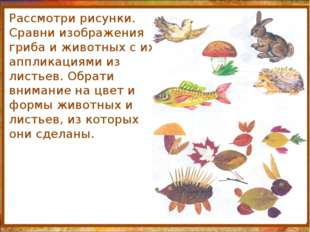 http://aida.ucoz.ru Рассмотри рисунки. Сравни изображения гриба и животных с