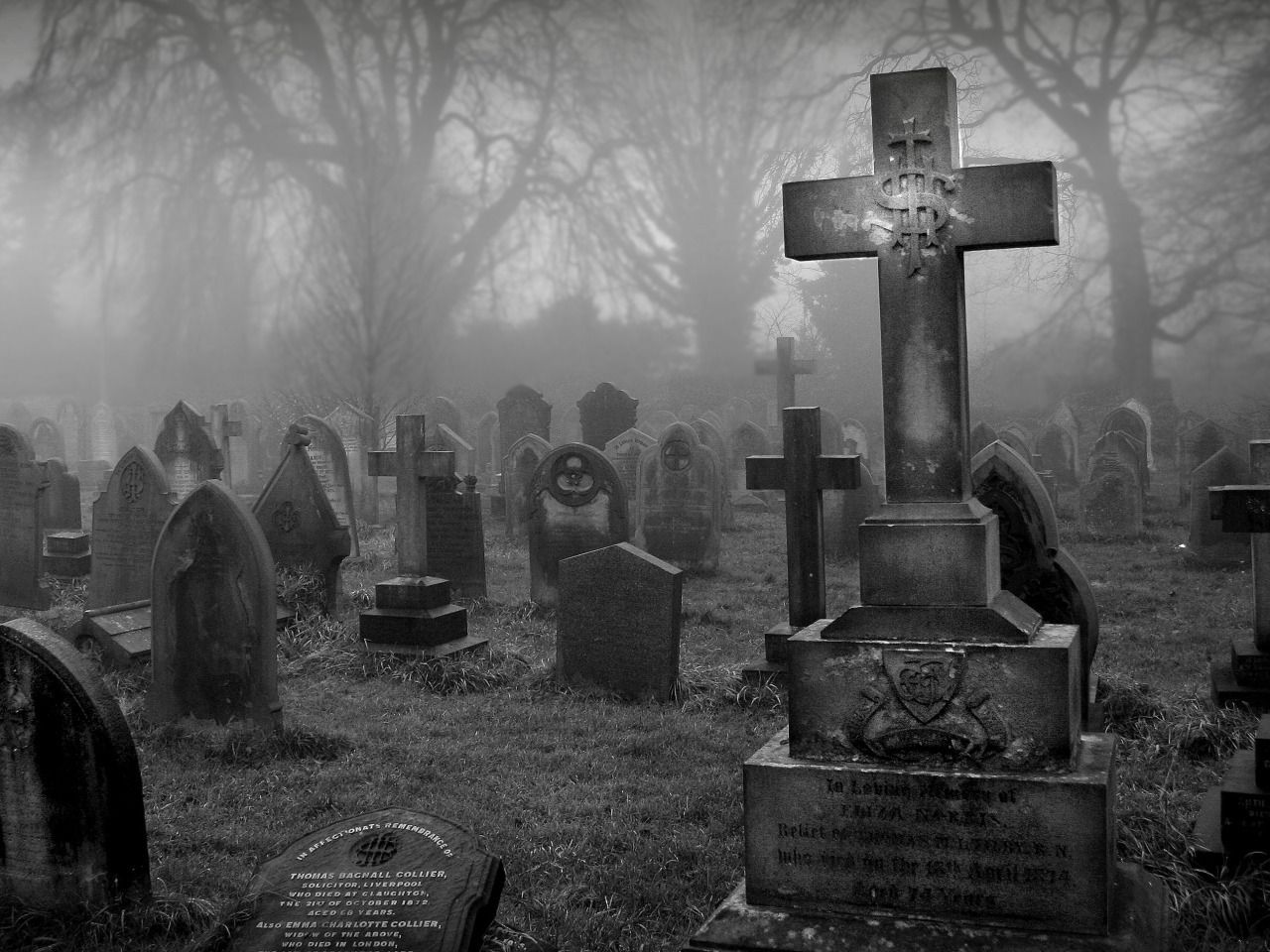 Можно ли беременным ходить на кладбище?