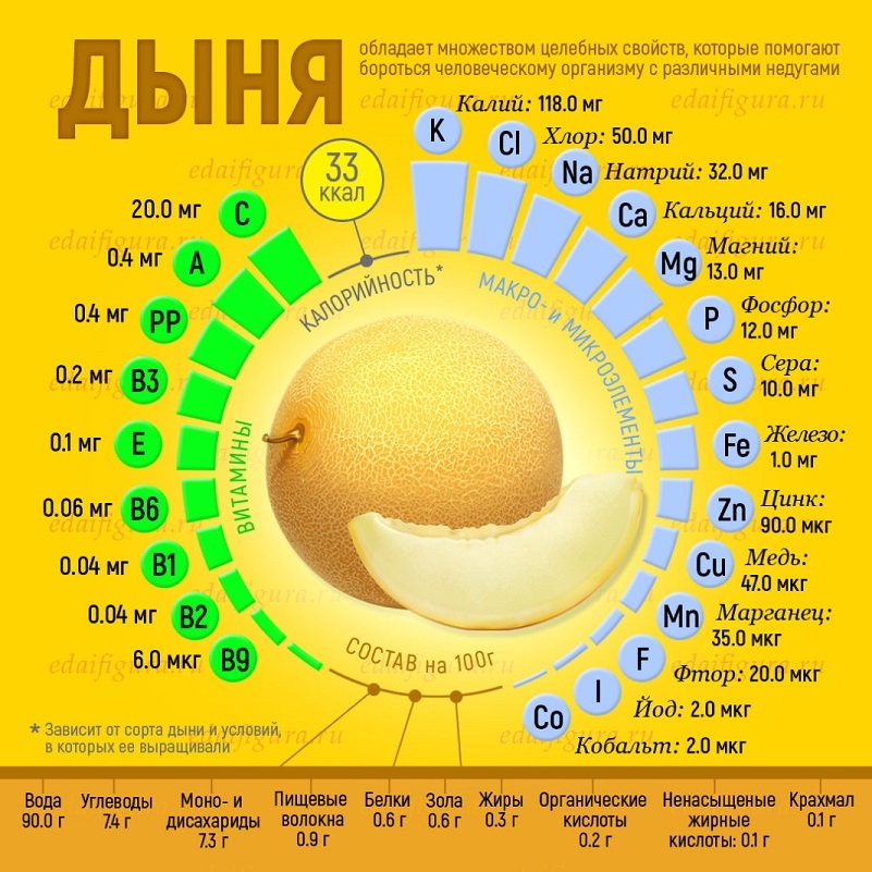 Полезные свойства дыни