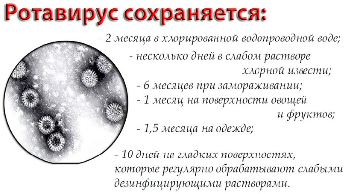 Прививки от ротавирусных инфекций детям. Когда делать, до какого возраста: сроки. Состав, название, цена вакцина