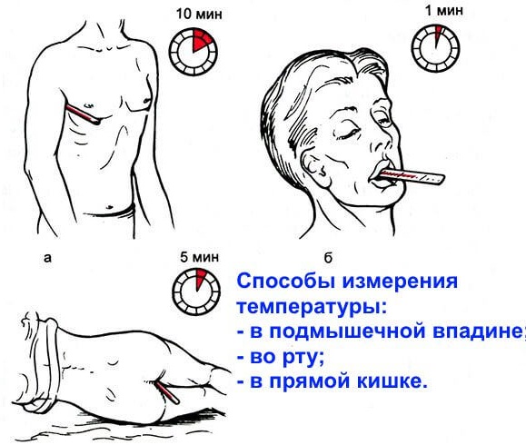 Базальная температура. Графики перед месячными, после овуляции, при беременности. Нормы, как измерить, таблица, календарь