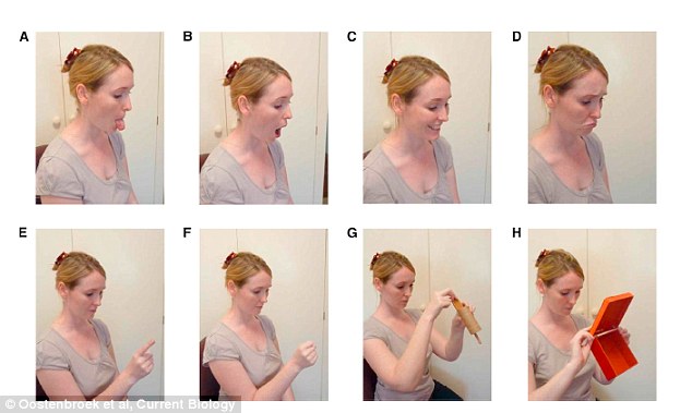 To study how babies imitated others, newborns were presented with a range of different gestures (pictured) at specific weeks of their development. They used a wide range of gestures, including tongue protrusion, mouth opening, happy face and sad face as well as three vocal gestures 