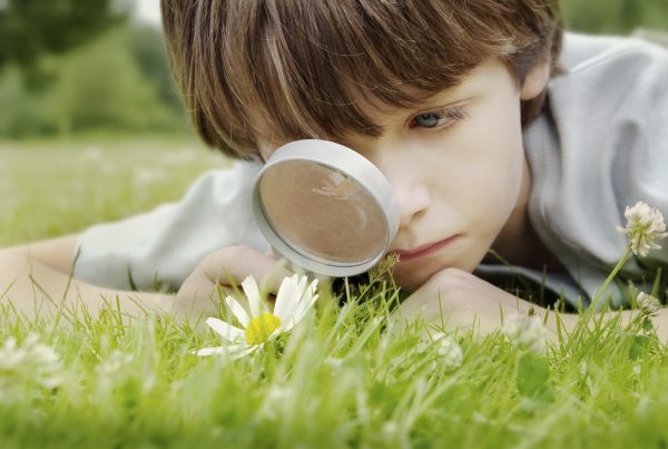 Мальчик с лупой разглядывает растения