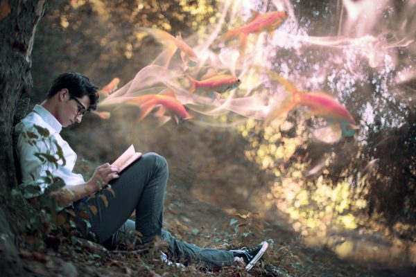 Мужчина читает книгу в лесу