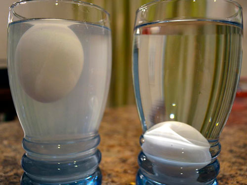 опыты с водой для детей: яйцо