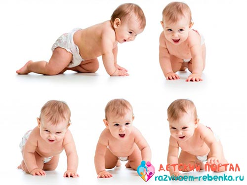 Фото малыша на четвереньках в разных ракурсах