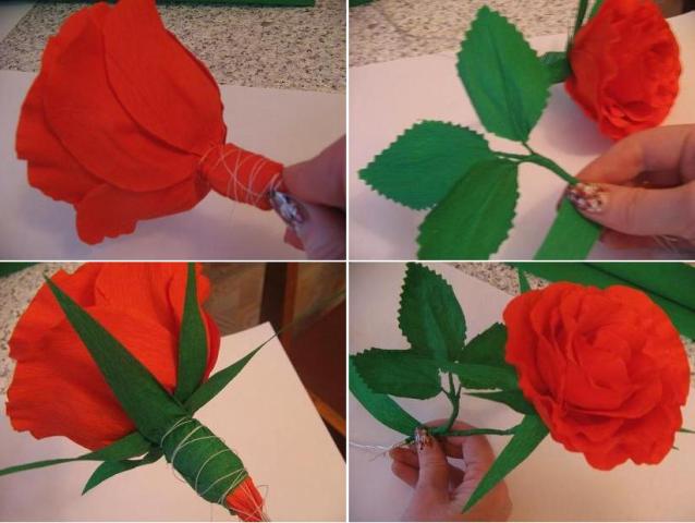 красная роза из гофрированной бумаги мастер-класс