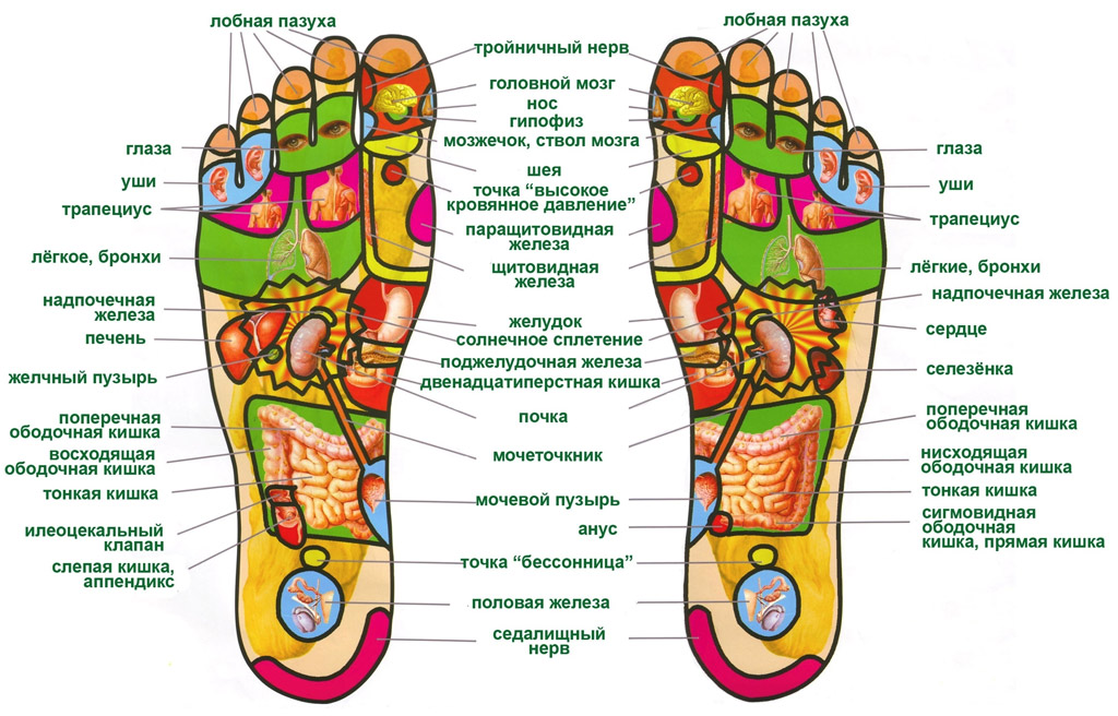 Расположение активных зон на ступнях ног человека