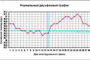 график базальной температуры 1