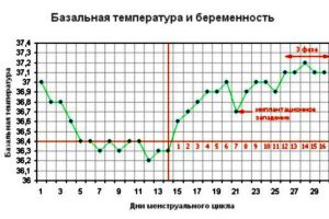 график базальной температуры 2