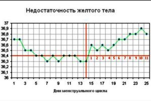 график базальной температуры 4