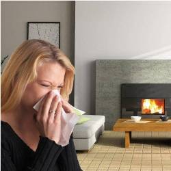 Аллергены в вашем доме: что нужно знать