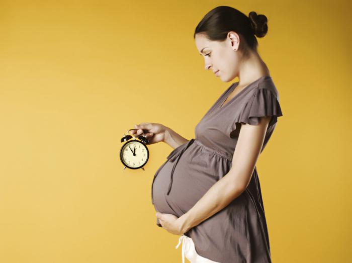 41 неделя беременности родов нет